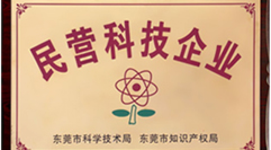 民营科技企业